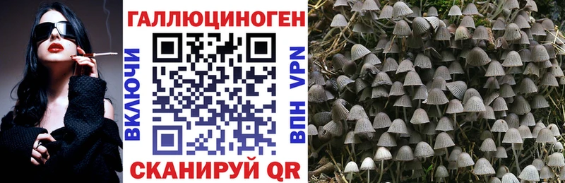 Псилоцибиновые грибы прущие грибы Наро-Фоминск