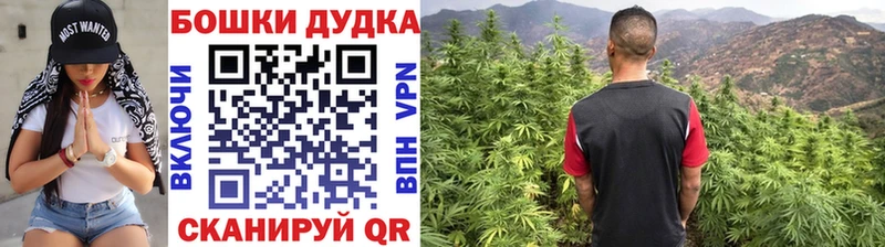 Купить где  Наро-Фоминск  Бошки марихуана ГИДРОПОН 